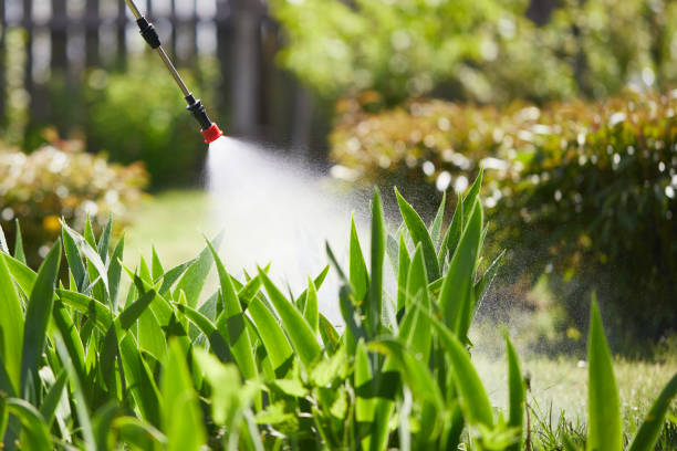 24/7 Emergency Mosquito Control experts in New Knoxville, OH