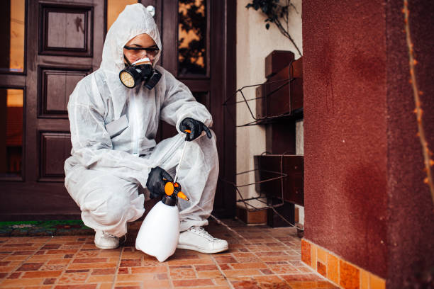 Reliable Mosquito Control contractor in New Knoxville, OH by Show Me Pest Control