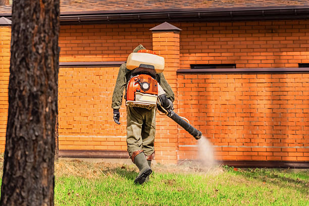 Top rated local Mosquito Control specialists in New Knoxville, OH